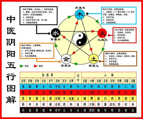 金火水木土|一分钟记住，五行相生相克。